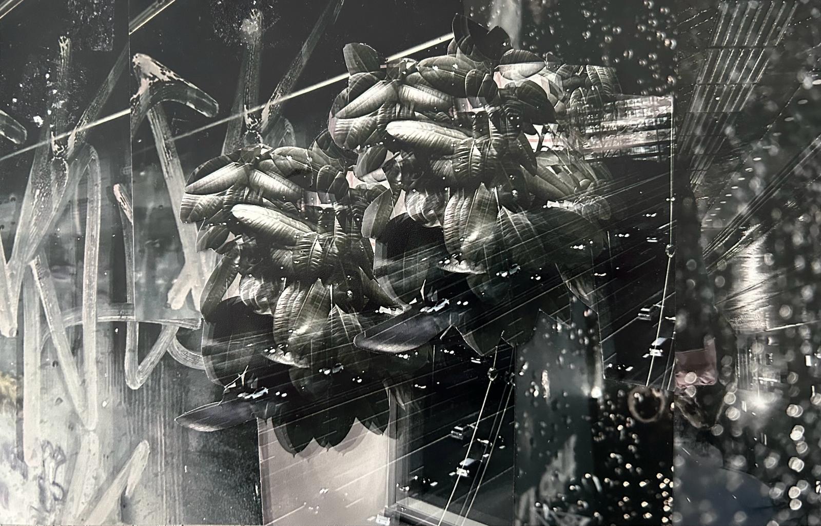 Ongetiteld bericht 40