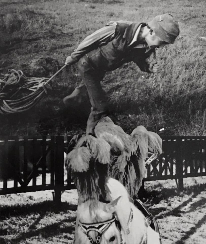 Ongetiteld bericht 42