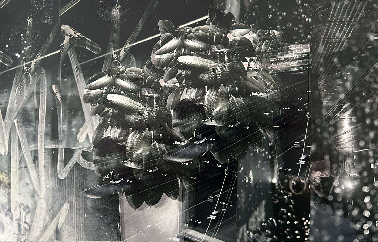 Ongetiteld bericht 119