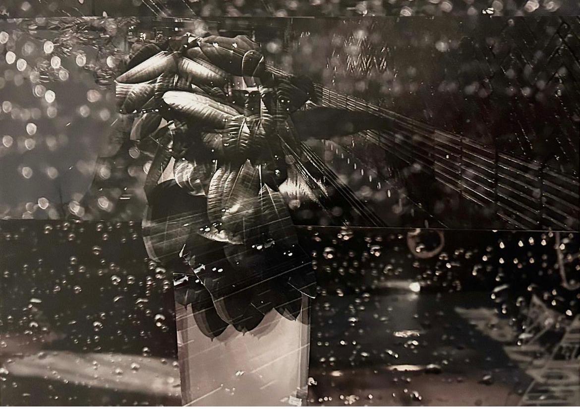 Ongetiteld bericht 128